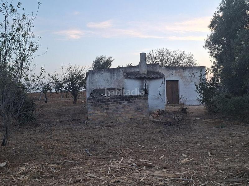 Foto 1edcced3-2b9c-4ae6-b618-4db634d03368. Maison dans Pelagatos - Pago del Humo Chiclana de la Frontera