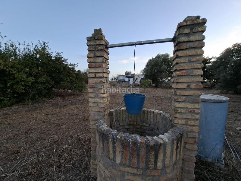 Foto 93a68905-6bd4-434f-8cf6-feb6a6fbb8b7. Maison dans Pelagatos - Pago del Humo Chiclana de la Frontera