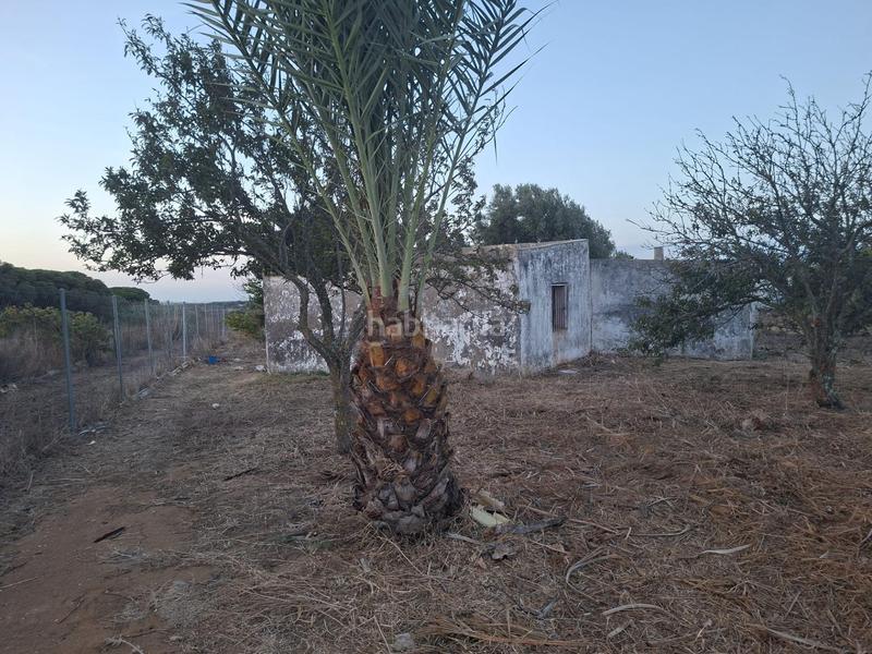 Foto 961dd9a5-be31-4aec-b174-af4830aff37e. Maison dans Pelagatos - Pago del Humo Chiclana de la Frontera