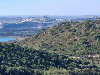 Masia a Bosque (El). Finca rústica en venta en arcos de la frontera  75 hectáreas