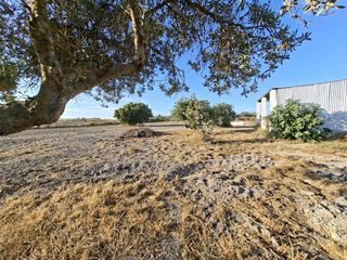 Masia a Núcleo urbano. Finca rústica con refugiocasa en venta. con pozo legalizado y pe
