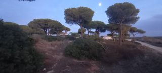 Terreny residencial a Las Lagunas - Campano