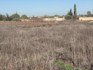 Terreny residencial a Pelagatos - Pago del Humo. Parcela segregada en zona hozanejo
