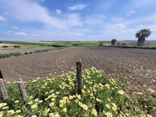 Terreny residencial en Los Franceses - La Vega. Parcela rustica en miralmar