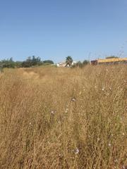 Terreny residencial a Las Lagunas - Campano. Fantastica parcela en el tejarejo