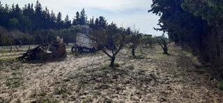 Terreny residencial a La Coquina. Parcela rustica de arboles y siembra
