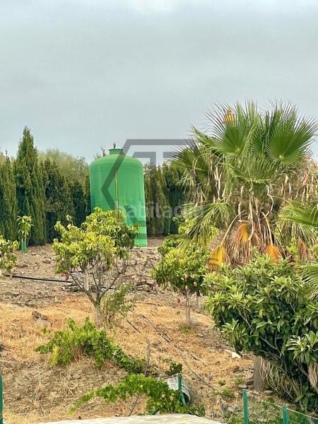 Foto 2af2a202-0691-4f51-b7b6-1fbe6c796d08. Masía casa con piscina y terreno cultivado en triana en Vélez - Málaga