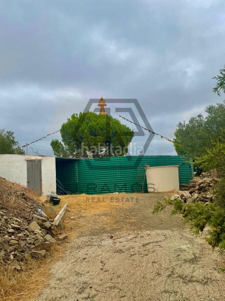 Foto 476017b5-0350-447e-a6fe-15cb8528ffa0. Masía casa con piscina y terreno cultivado en triana en Vélez - Málaga