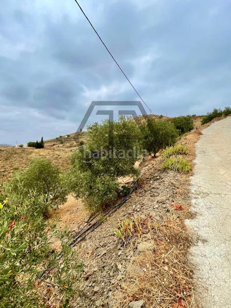 Foto d8aeb7f3-631c-4d84-bd06-86a14e985e28. Masía casa con piscina y terreno cultivado en triana en Vélez - Málaga