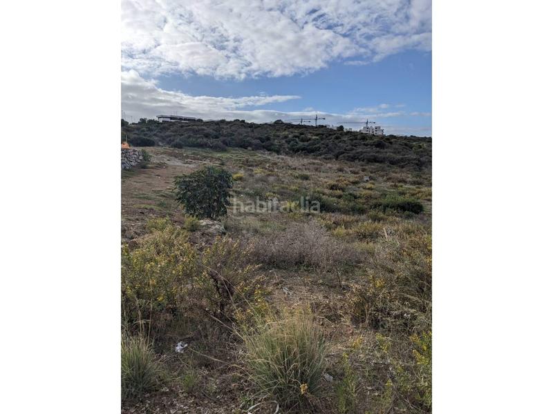 Foto 341abf68-1419-45db-b581-960eba1be68e. Fondo rustico in Casares pueblo Casares