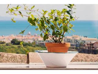 Àtic  Duquesa village. Atico en venta en urbanización el hachola duquesa golf