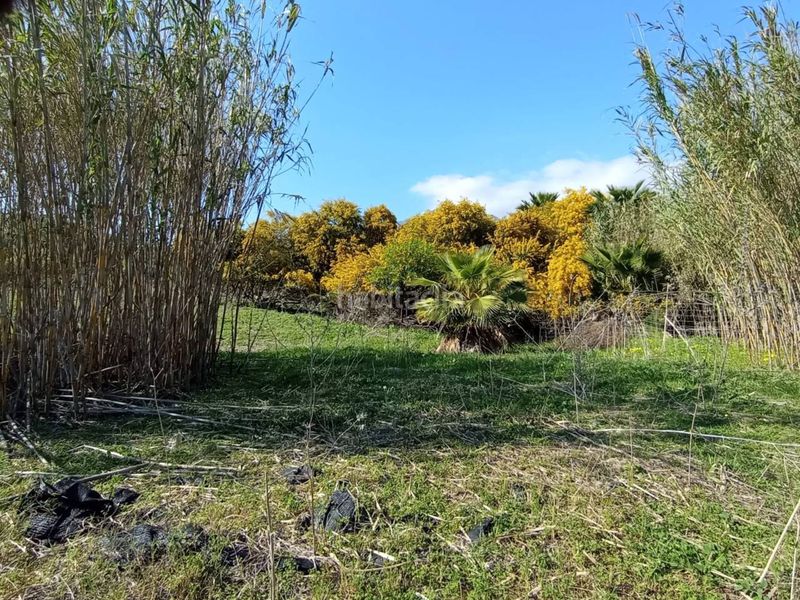 Foto 415d0443-78f7-48d2-b74f-96c6e621da32. Masia amb aparcament a Valle Romano Golf Estepona