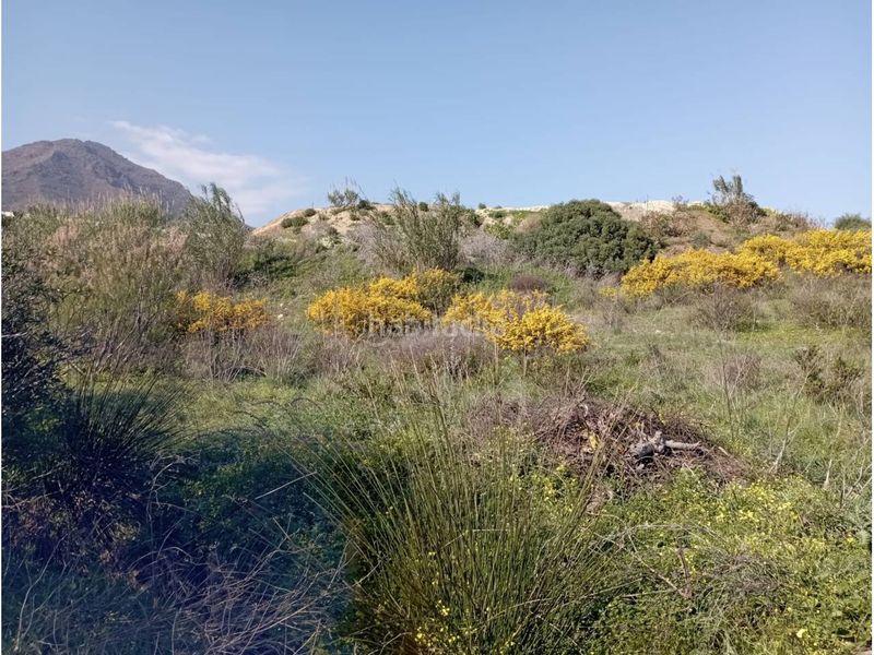 Foto d59aca61-dc3b-41d5-b33b-995212d587e8. Masia amb aparcament a Valle Romano Golf Estepona