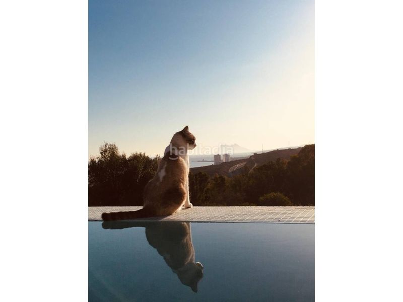 Foto fdd61b85-e58a-4c7c-9384-d39aedf45137. Casa amb calefacció aparcament piscina a Chullera Manilva