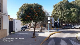Terreno residencial  Calle zurraque