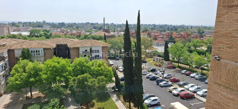 Foto 779755a5-2841-4b08-b3c6-c9451ebed1e3. Pis a Ciudad Aljarafe Mairena del Aljarafe