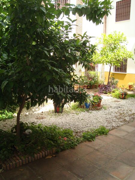Foto 6ee5a6a9-5edd-4184-9e68-7f450820c57a. Apartament amb calefacció a casco histórico - ribera - san basilio Córdoba