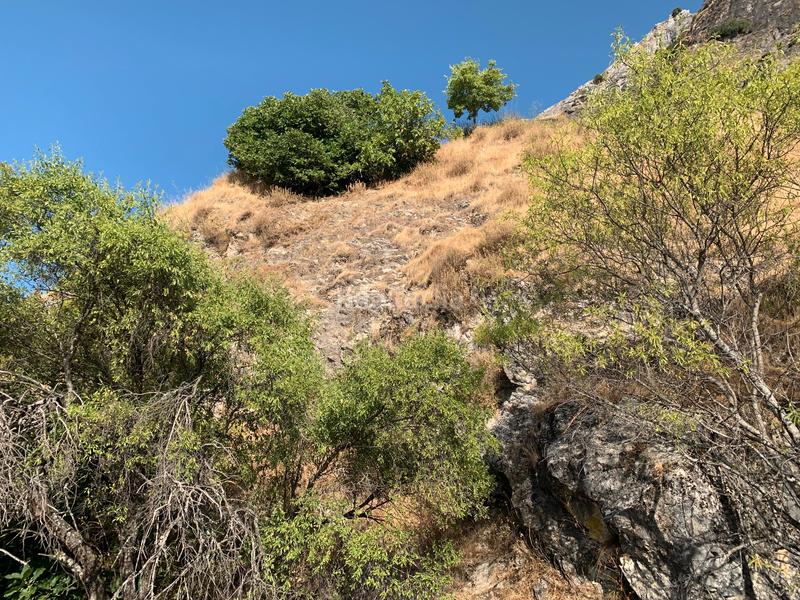 Foto 82de64c3-8e27-4f07-8665-c013d19d4f1c. Loft avec chauffage parking dans Iruela (La)