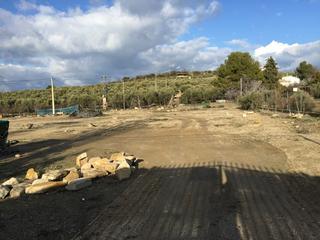 Finca rústica a Úbeda. Parcela  con  suelo rustico.