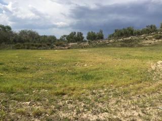 Finca rústica a Úbeda. Estupenda parcela en santa eulalia.