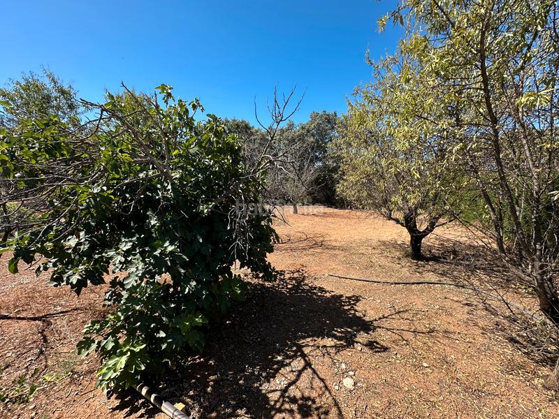 Foto 58d42f9d-9331-4797-81d8-6d2495316a4b. Chalet estupendo chalet en la yedra urbanización privada en Baeza