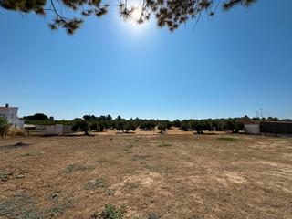 Terreny residencial  Calle del molino. Se vende solar urbano en la yedra