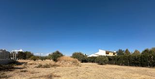 Terreny residencial  Calle tomillo. Se vende solar zona el campillo