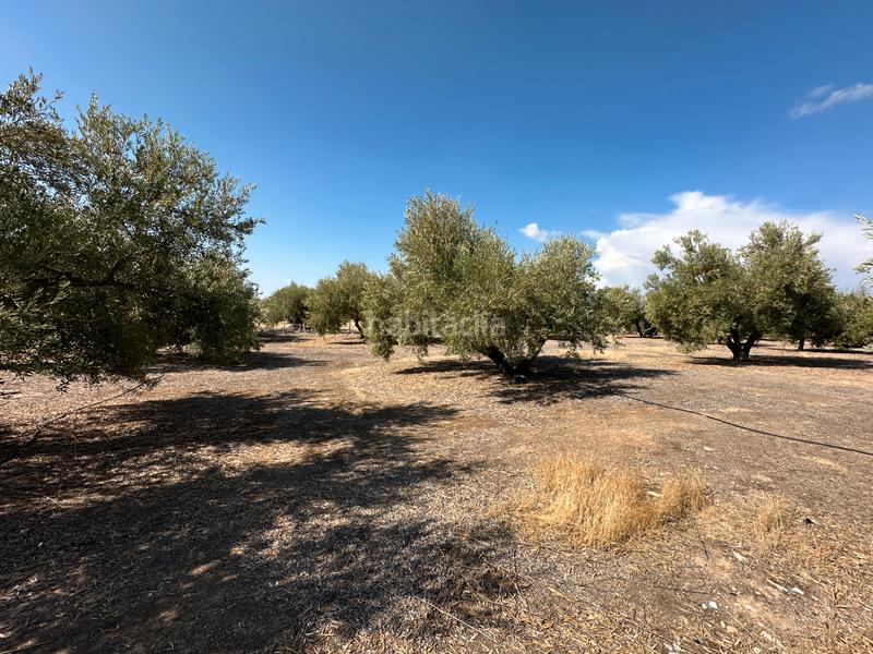 Foto af70545c-6f82-468c-91f1-aae20744dd04. Chalet estupendo chalet a 2 min en Úbeda