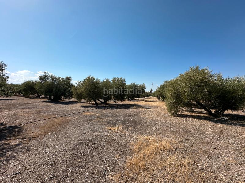 Foto b608788a-9ff1-4d00-bfda-24788826a863. Chalet estupendo chalet a 2 min en Úbeda