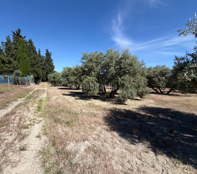 Foto 262e10bd-5d70-4102-874b-60f745511155. Finca rústica a Úbeda