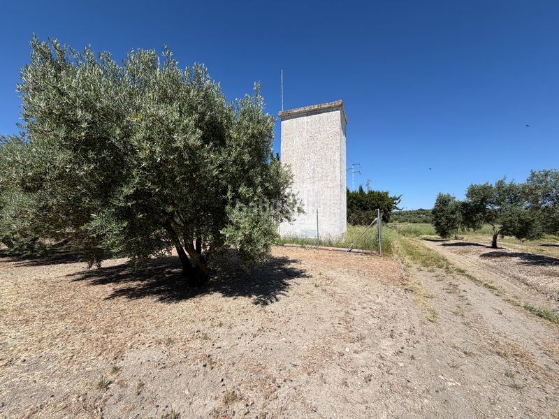 Foto 2bd8aaf3-df48-4952-83cc-2fecd084950b. Finca rústica a Úbeda