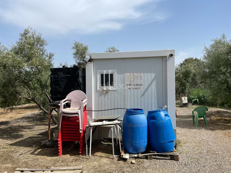 Foto 14dad1fa-9f23-4abd-b996-5256e9fa2b31. Finca rústica a Úbeda