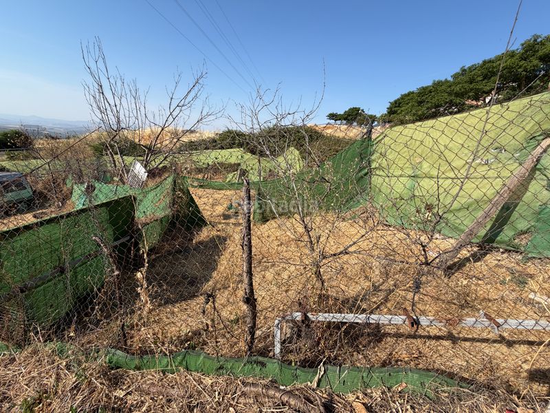 Foto ce75a544-b6e9-4588-b2ad-1e3711d35226. Finca rústica a Torreperogil