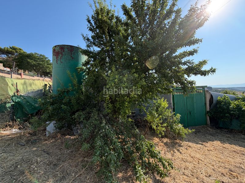 Foto f1028793-39d6-42e4-bf10-4568cf99719e. Finca rústica a Torreperogil