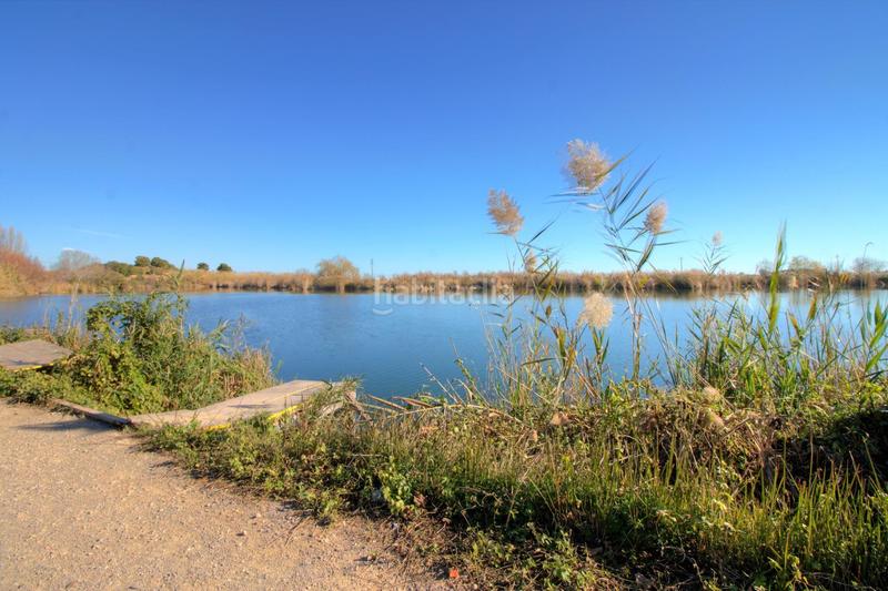 Foto f6223f7c-07ea-4bea-8a50-81fdf8503ca9. Location local commercial dans calle cisterna 24 dans Almenara