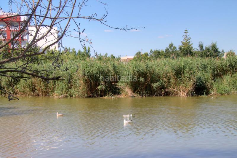 Foto 14faabaa-c1d6-445d-acc5-200b9bb62171. Location appartement dans calle ancha 86 dans Nules