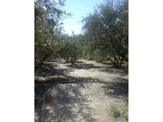 Fondo rustico en Canjyar. Finca rustica en venta en canjyar