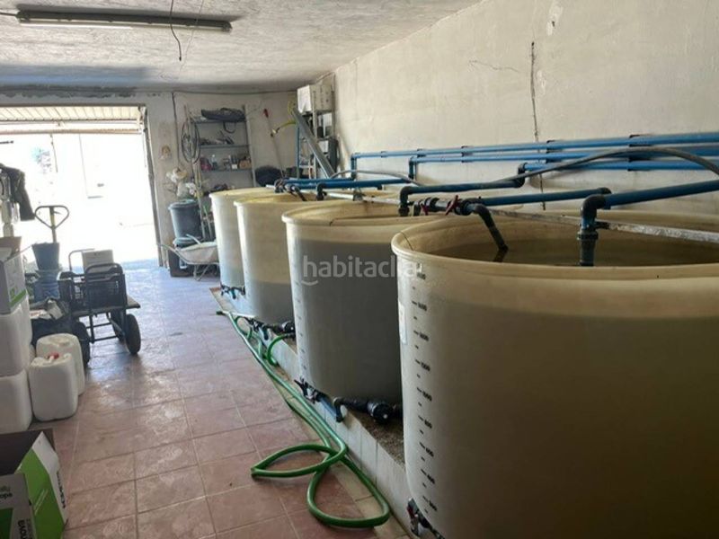 Foto a20671d3-b58e-40ef-a559-123779dc7166. Finca rústica a Nijar Pueblo Níjar