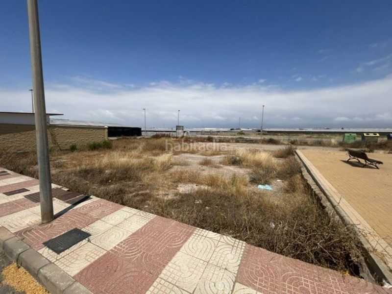Foto 2d832e89-3b85-493c-91e4-ce6f8838b553. Finca rústica a Roquetas pueblo Roquetas de Mar
