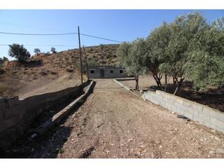 Fondo rustico in Dalías. Finca rustica en venta en dalías
