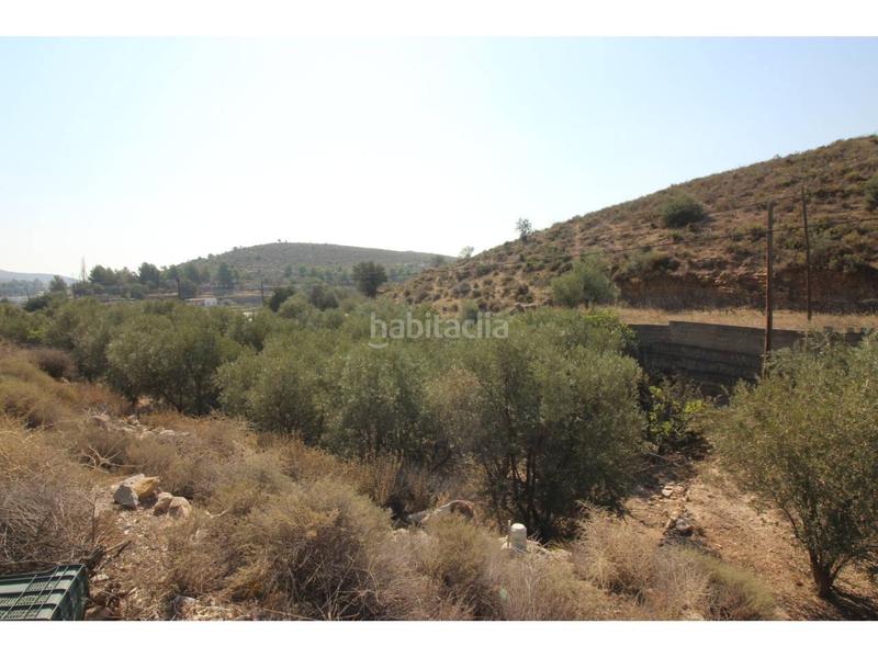 Foto df0b71af-3840-4d23-90f6-344b7f0ea6ee. Fondo rustico in Dalías