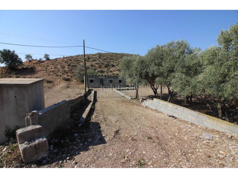 Foto edd987f5-1e0a-4357-865f-730307014536. Fondo rustico in Dalías