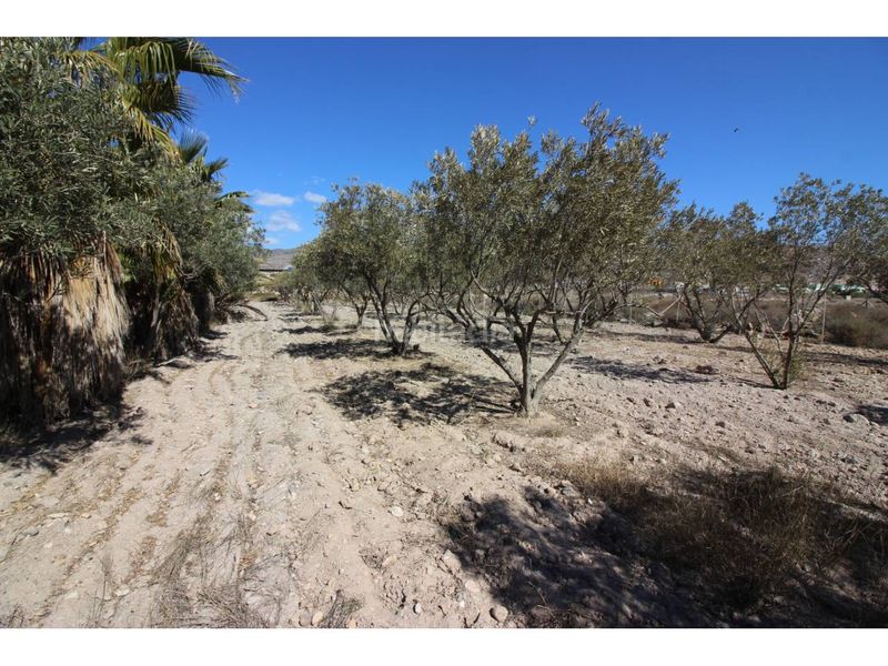 Foto c52f9719-6320-490d-9532-bd7193d45e14. Finca rústica a Las Salinas Roquetas de Mar