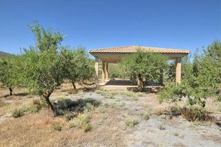 Finca rústica a Villamena. Finca de 4752 m2 en cónchar