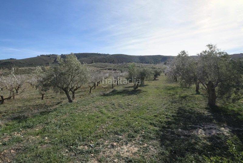 Foto 077f0784-4da8-4c95-ab42-5aa43e9825dd. Finca rústica a Valle (El)