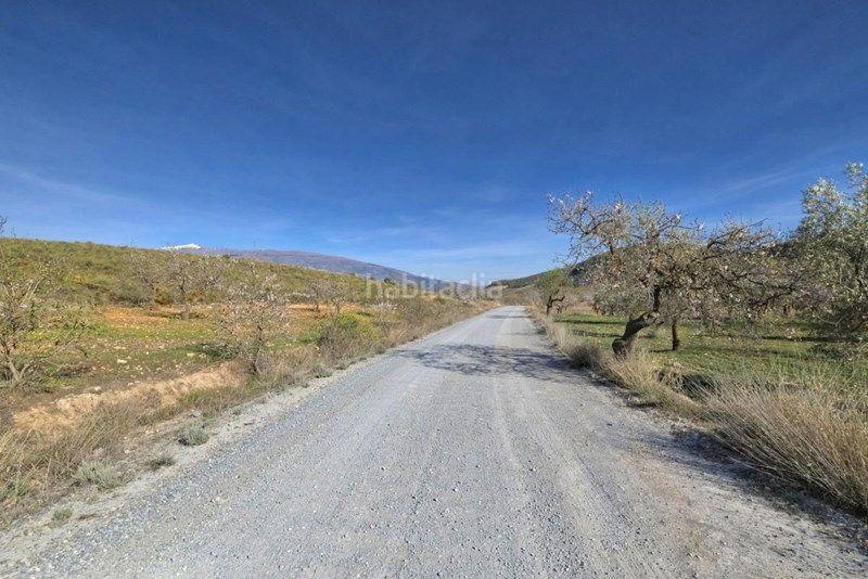 Foto 0a4bbc88-e7dd-4150-afc1-eb2803928167. Finca rústica a Valle (El)
