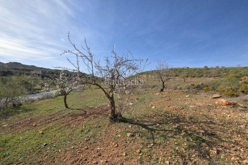 Foto 10784524-5e8b-4a6e-b28a-aef85889697a. Finca rústica a Valle (El)
