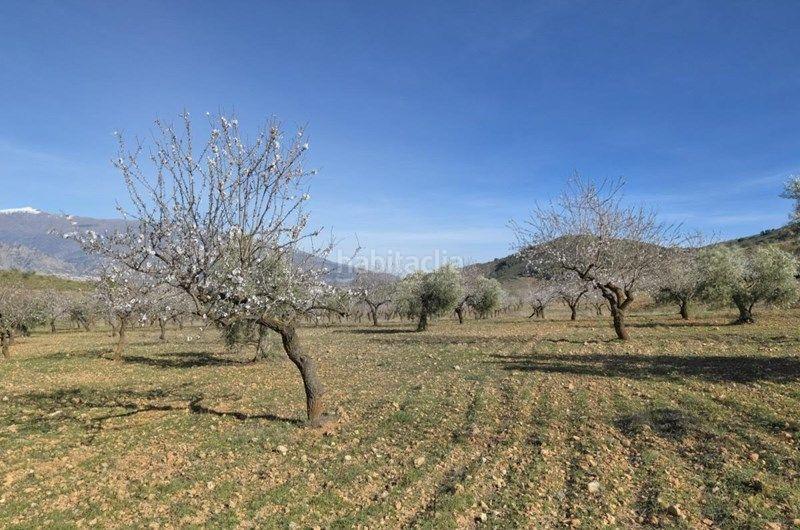 Foto 10b66b6c-e182-482d-9330-04b0fbf2e0f2. Finca rústica a Valle (El)