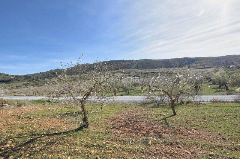 Foto 15c5f75c-93e9-4c35-b938-7b9891ede7b7. Finca rústica a Valle (El)