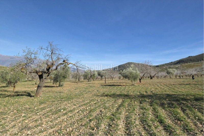 Foto 2005520f-788b-43aa-8811-d33447e1d9a9. Finca rústica a Valle (El)